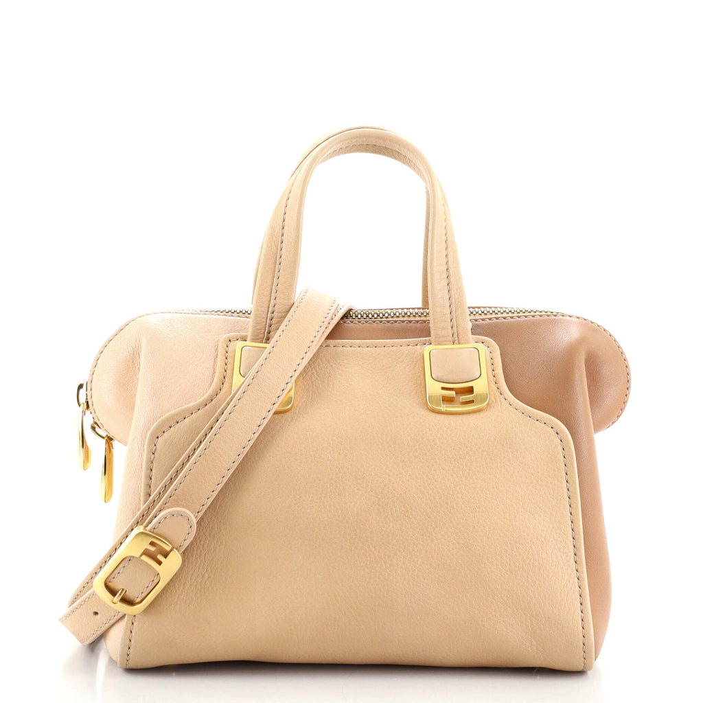 Chameleon Satchel Leather Mini