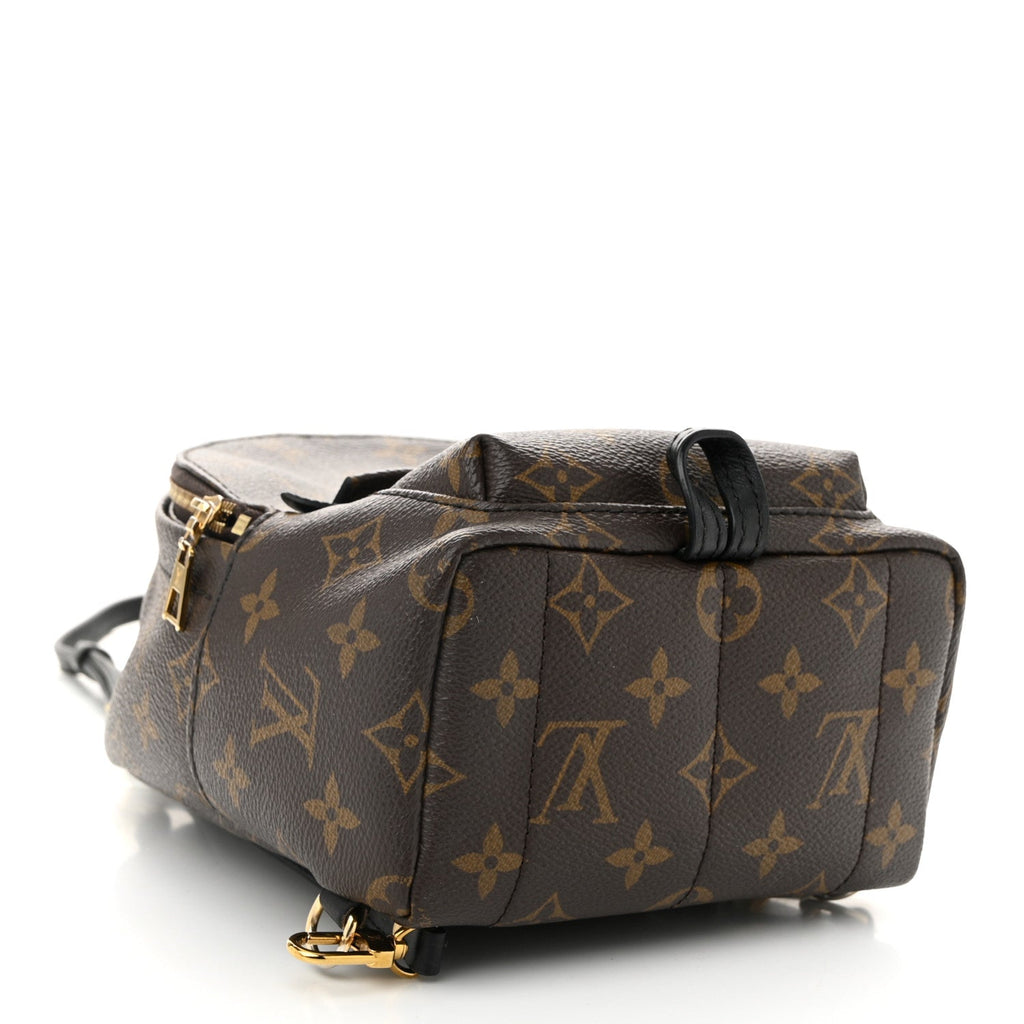 Monogram Palm Springs Backpack Mini