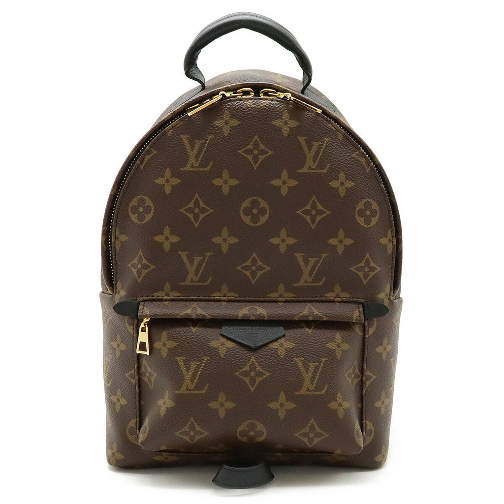 Louis Vuitton Palm Springs PM Monogram Backpack