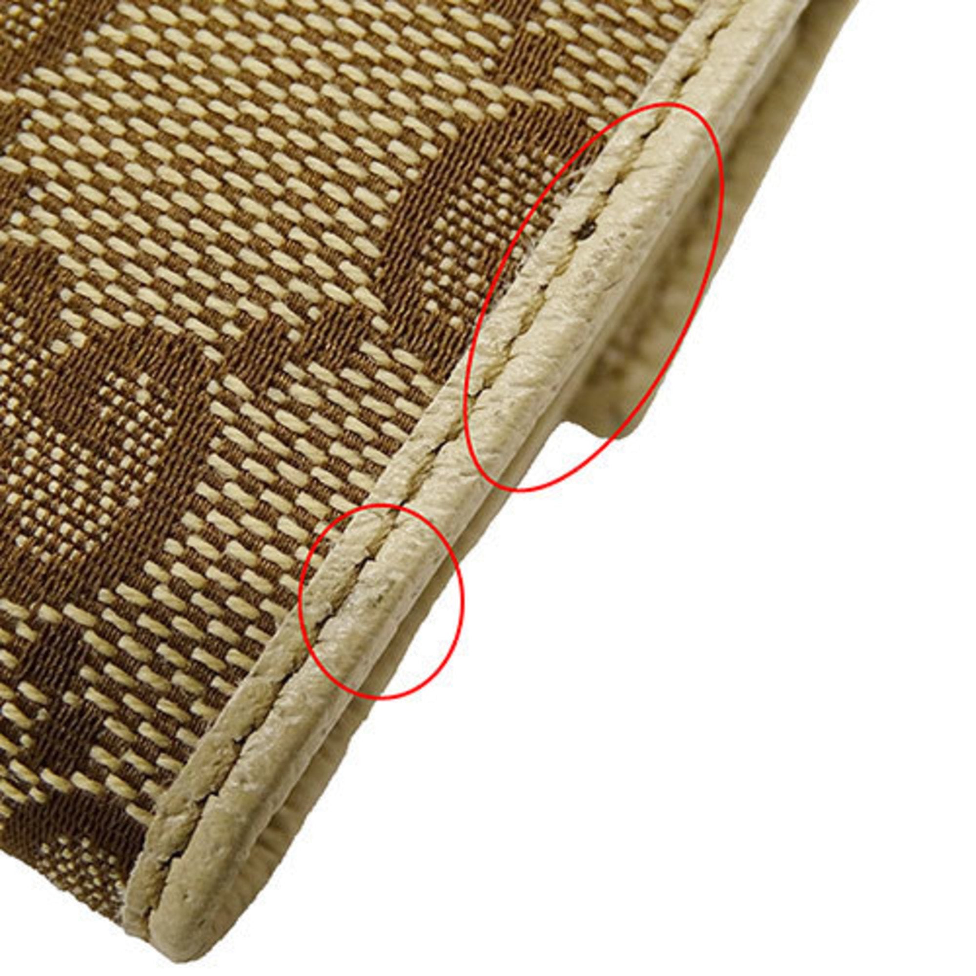 Gucci GG canvas