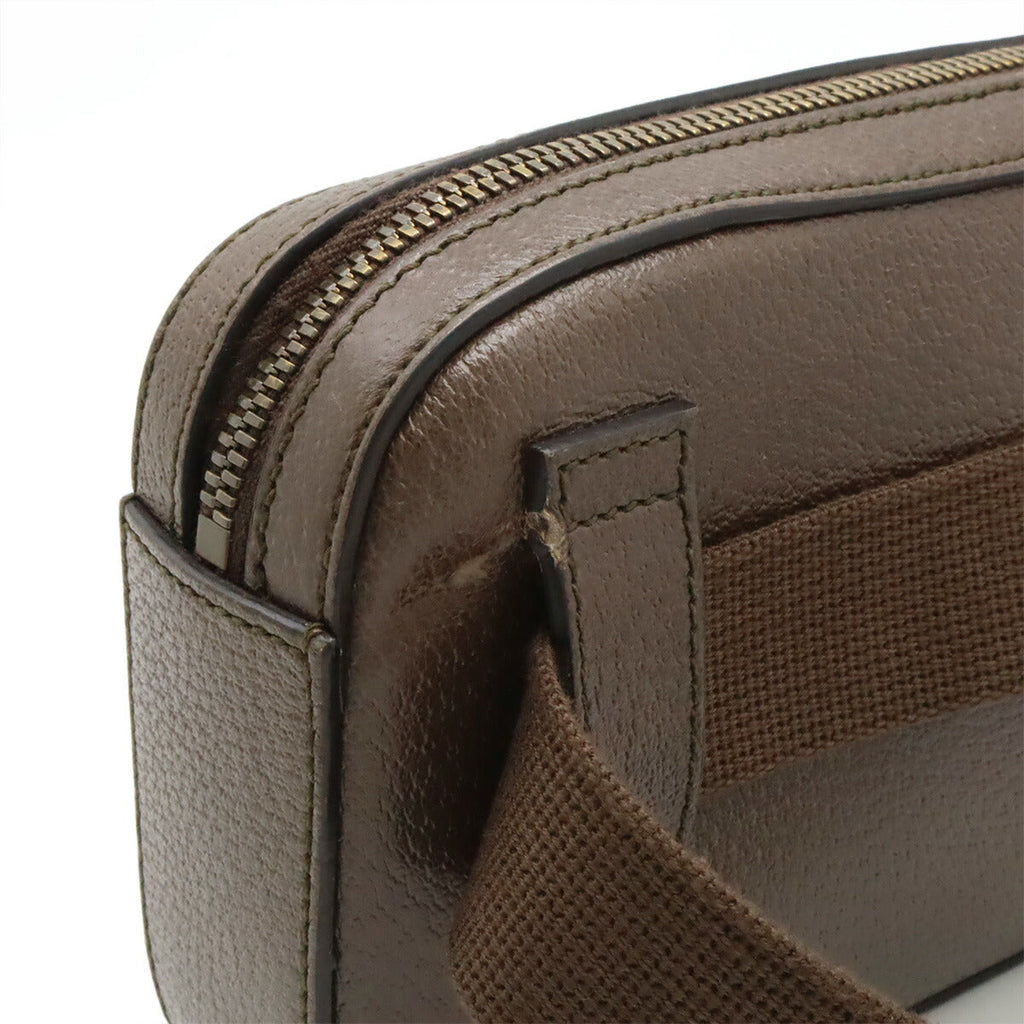 Gucci 100th Anniversary Limited Leather 2way Belt Bag