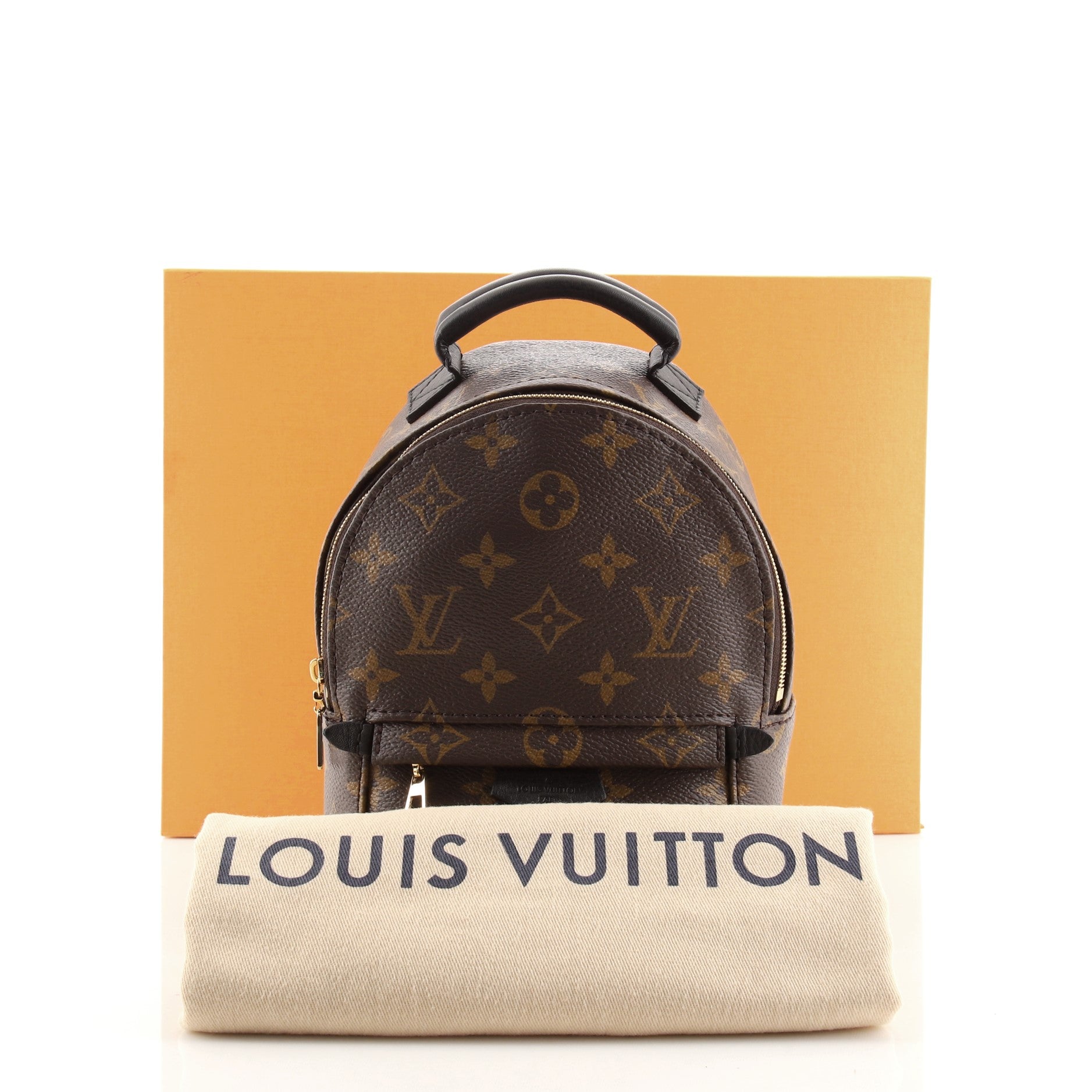 Palm Springs Backpack Monogram Canvas Mini