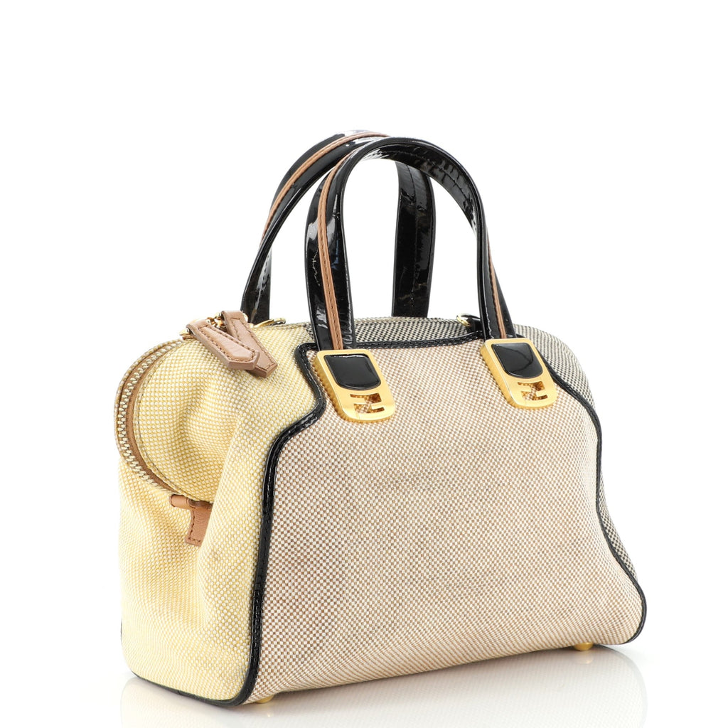 Chameleon Satchel Canvas Mini