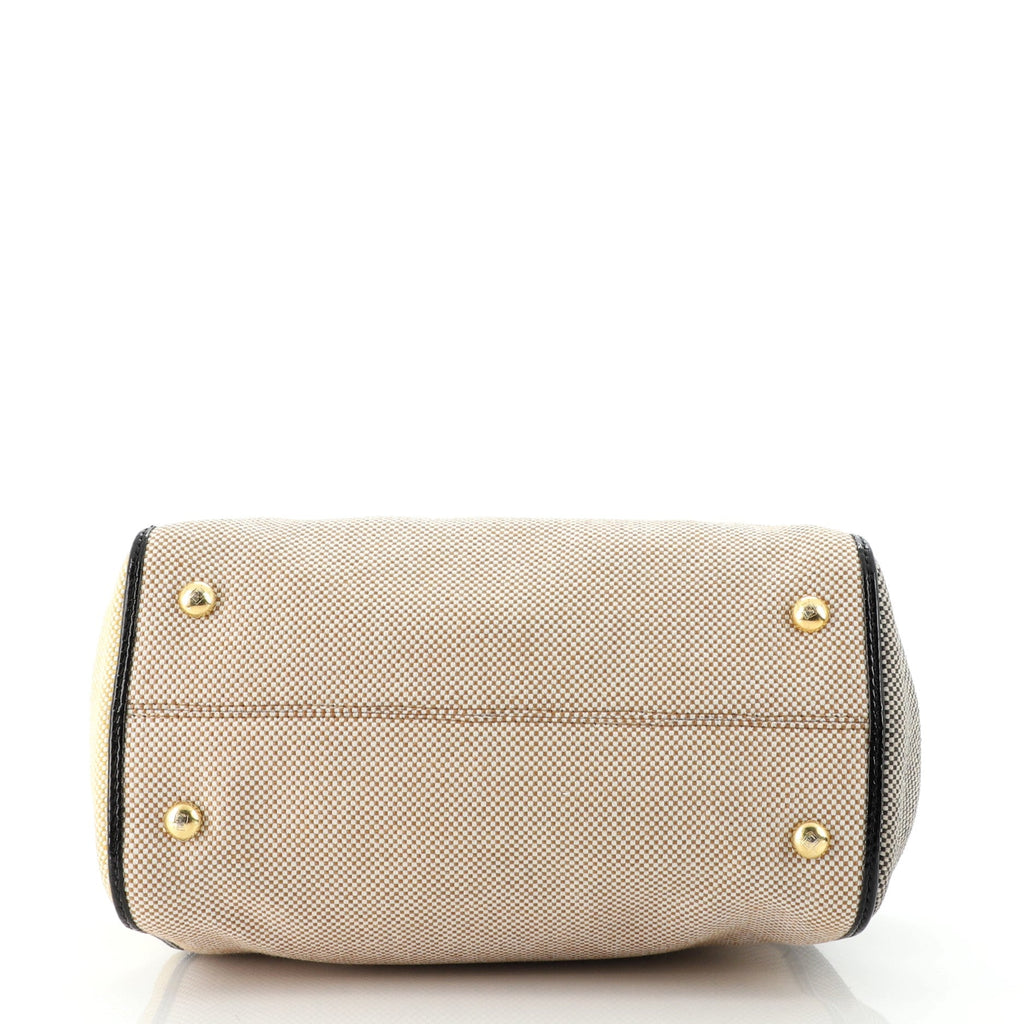 Chameleon Satchel Canvas Mini