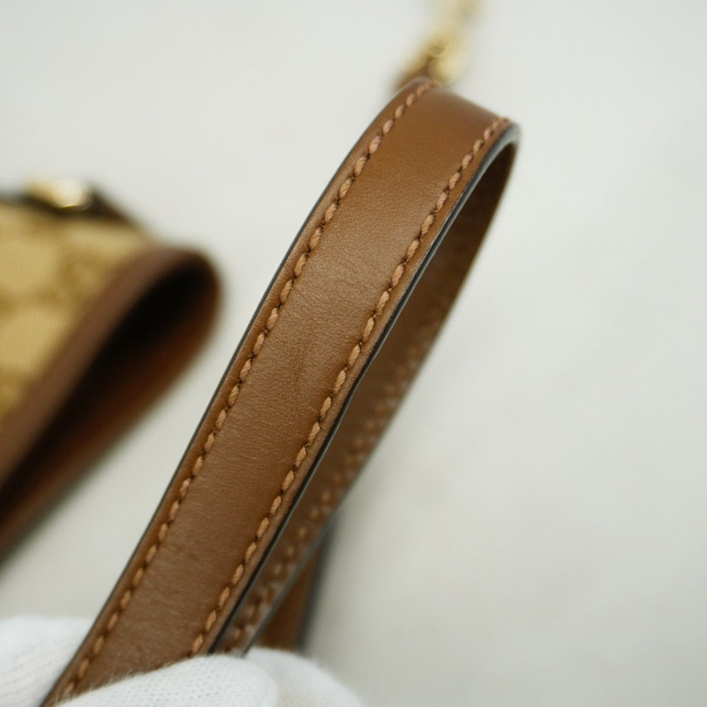 Gucci GG canvas