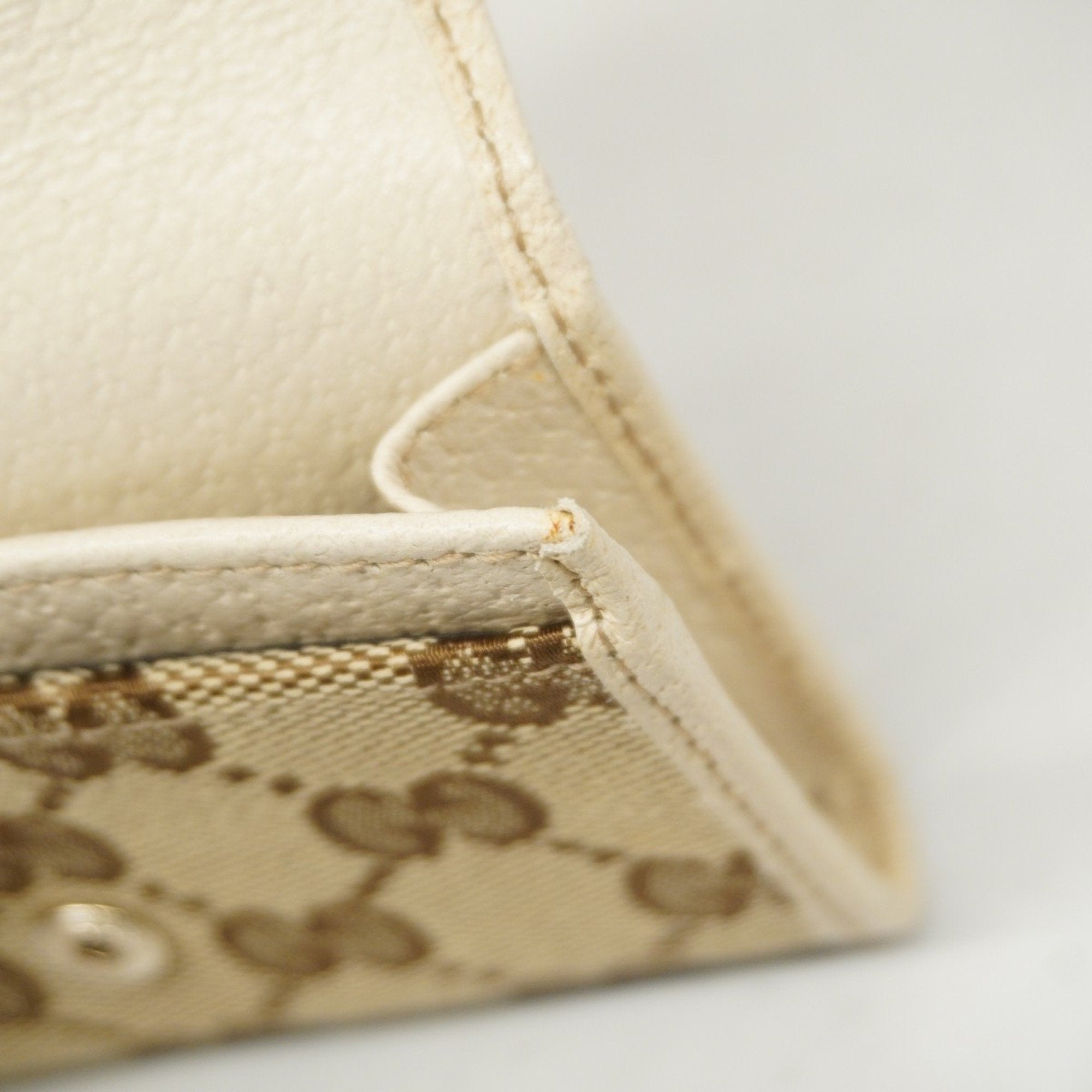 Gucci GG canvas