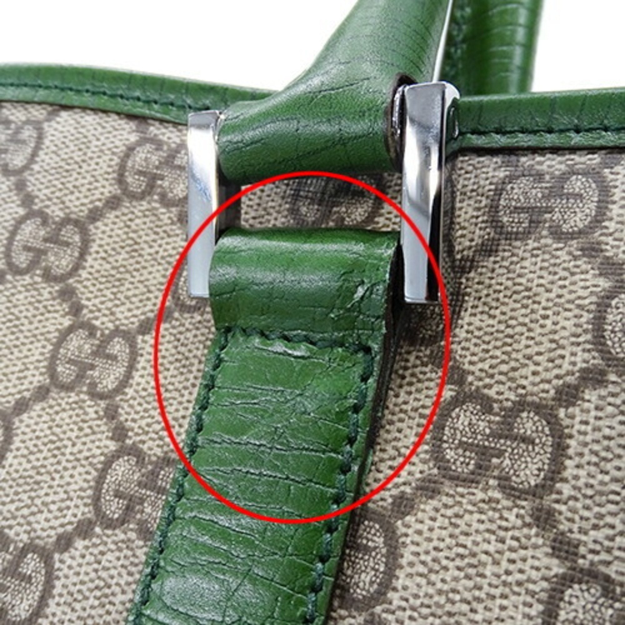 Gucci GG canvas
