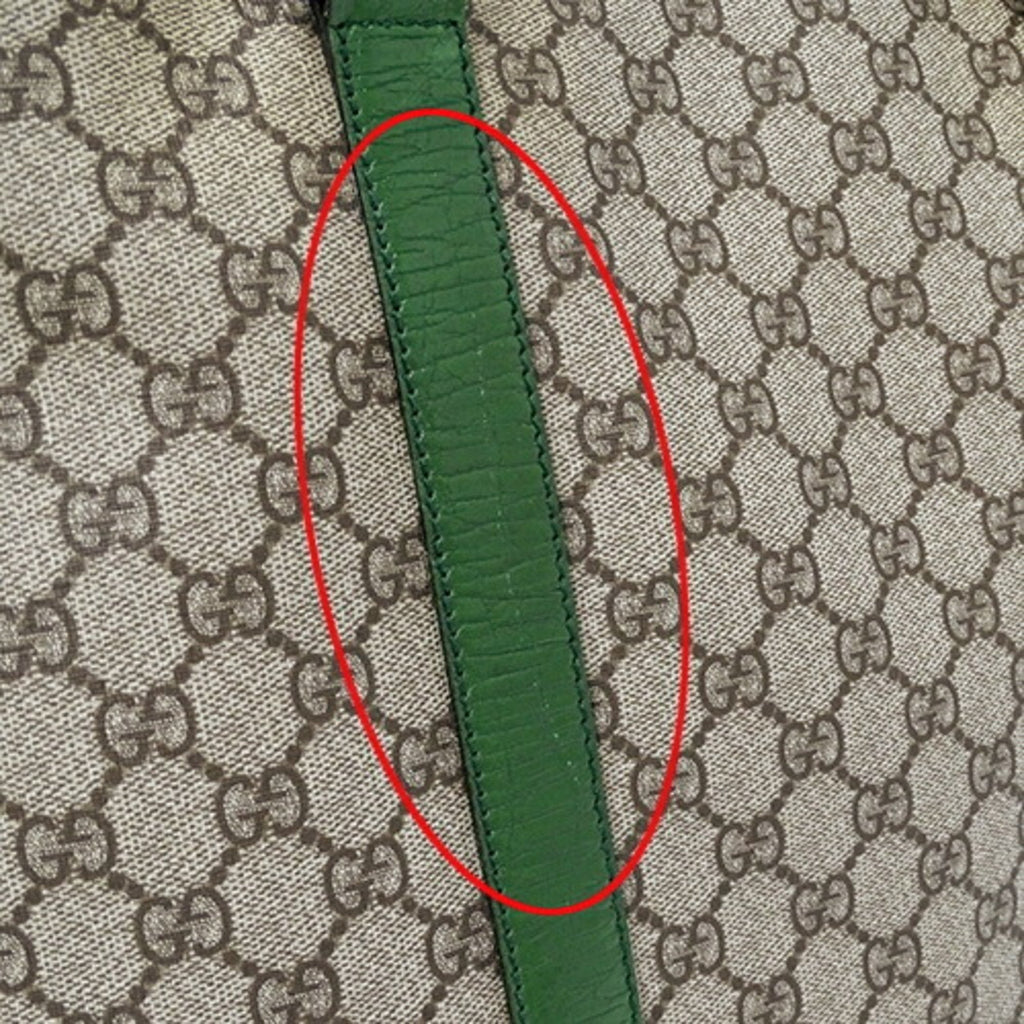 Gucci GG canvas