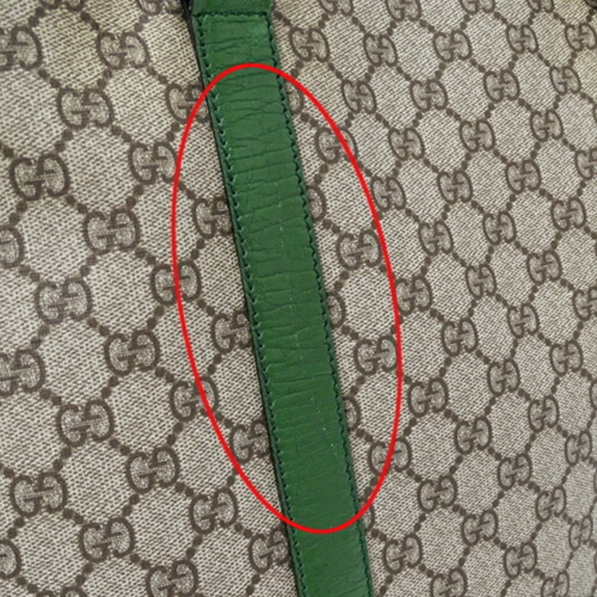 Gucci GG canvas