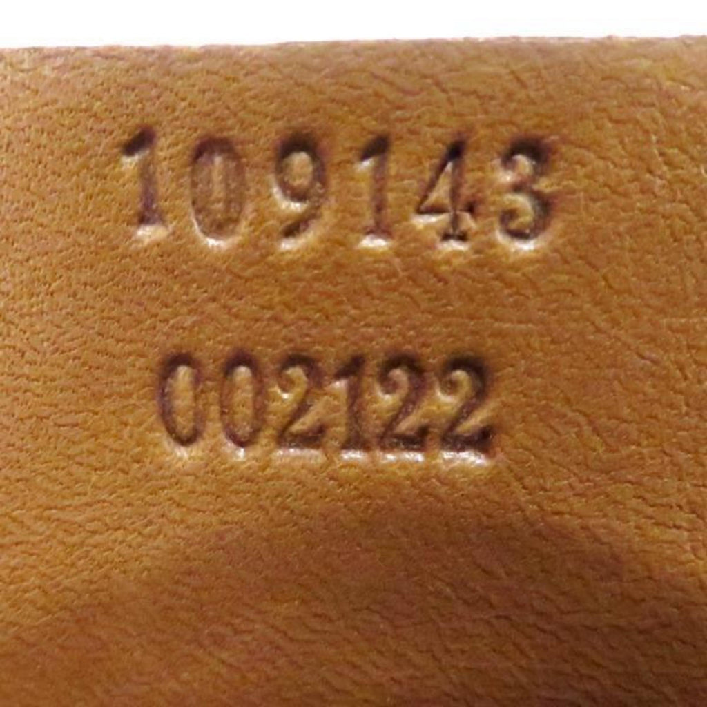 Gucci GG canvas
