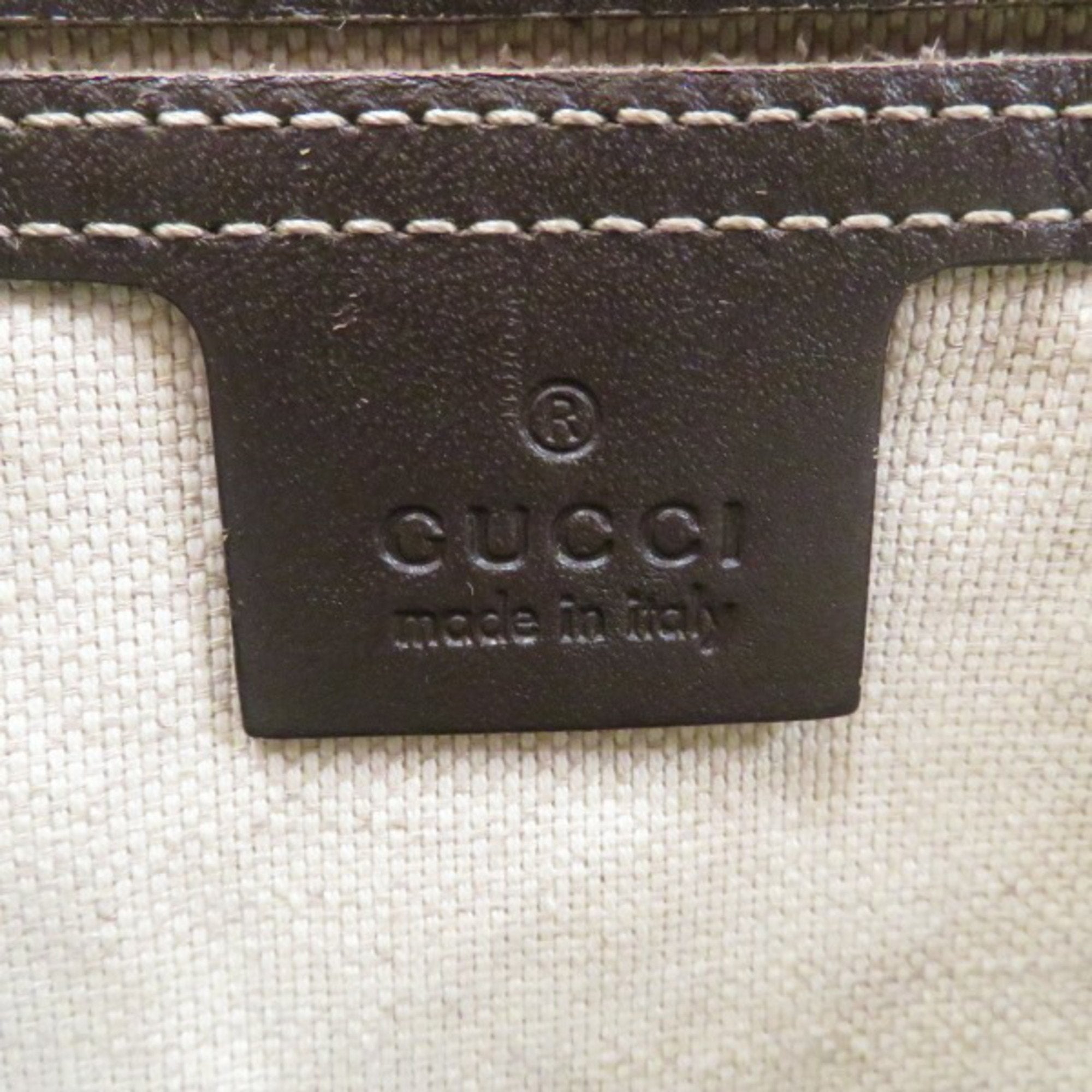 Gucci GG canvas