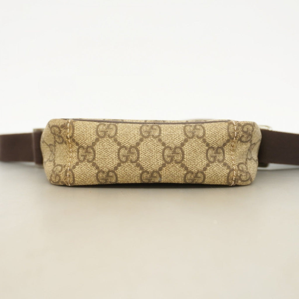 Gucci GG canvas
