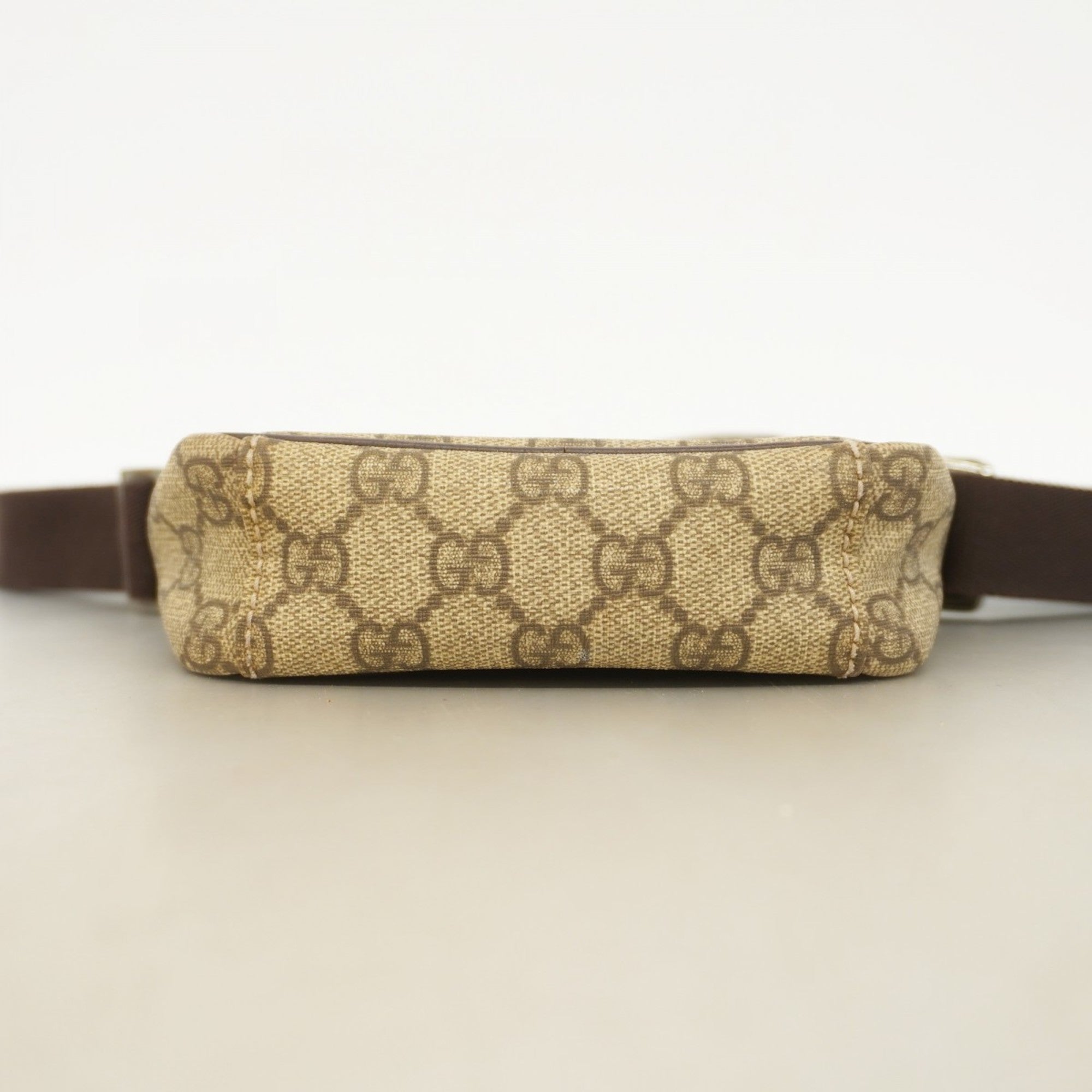 Gucci GG canvas