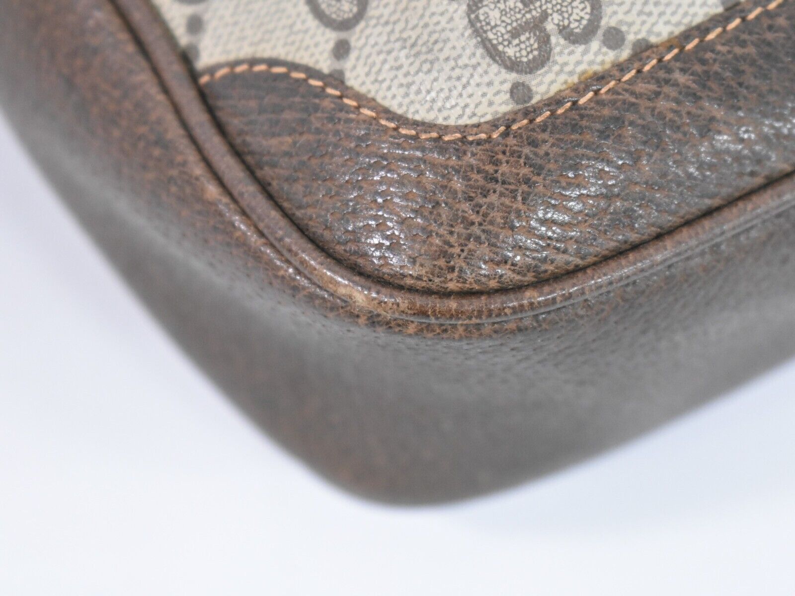 Gucci GG canvas