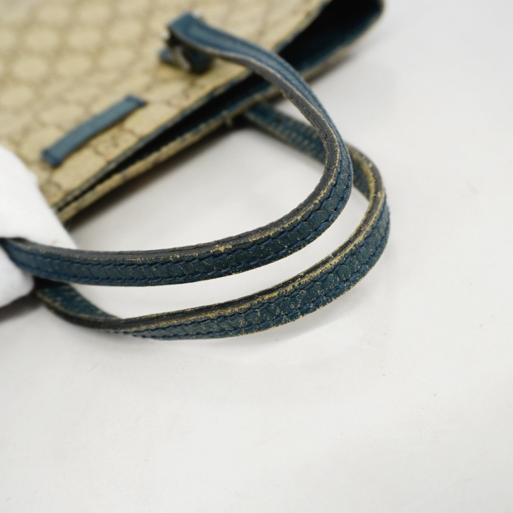 Gucci GG canvas