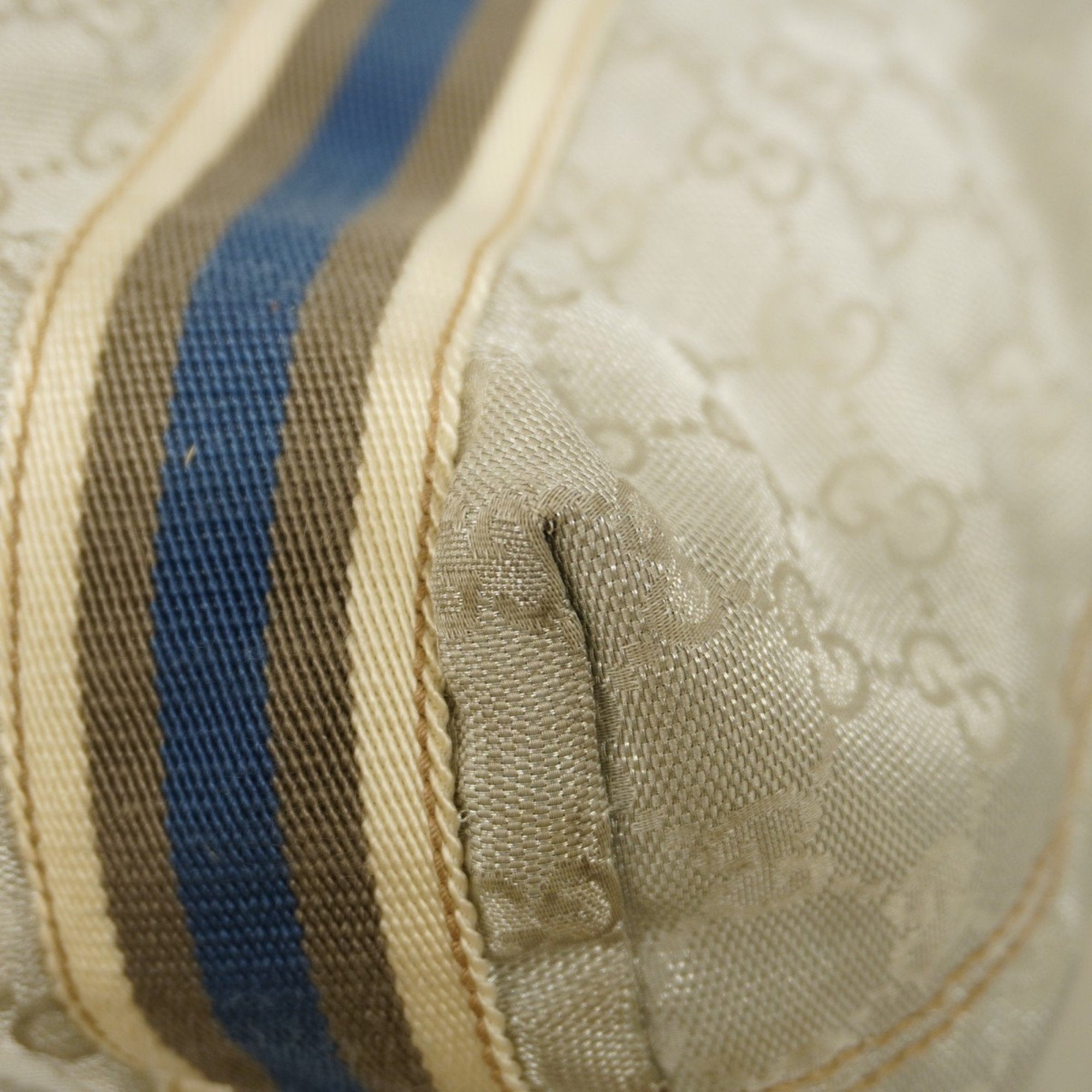 Gucci GG canvas