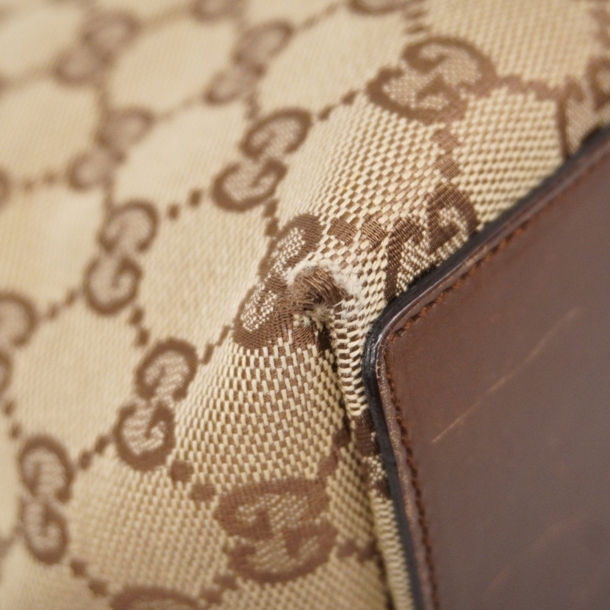 Gucci GG canvas