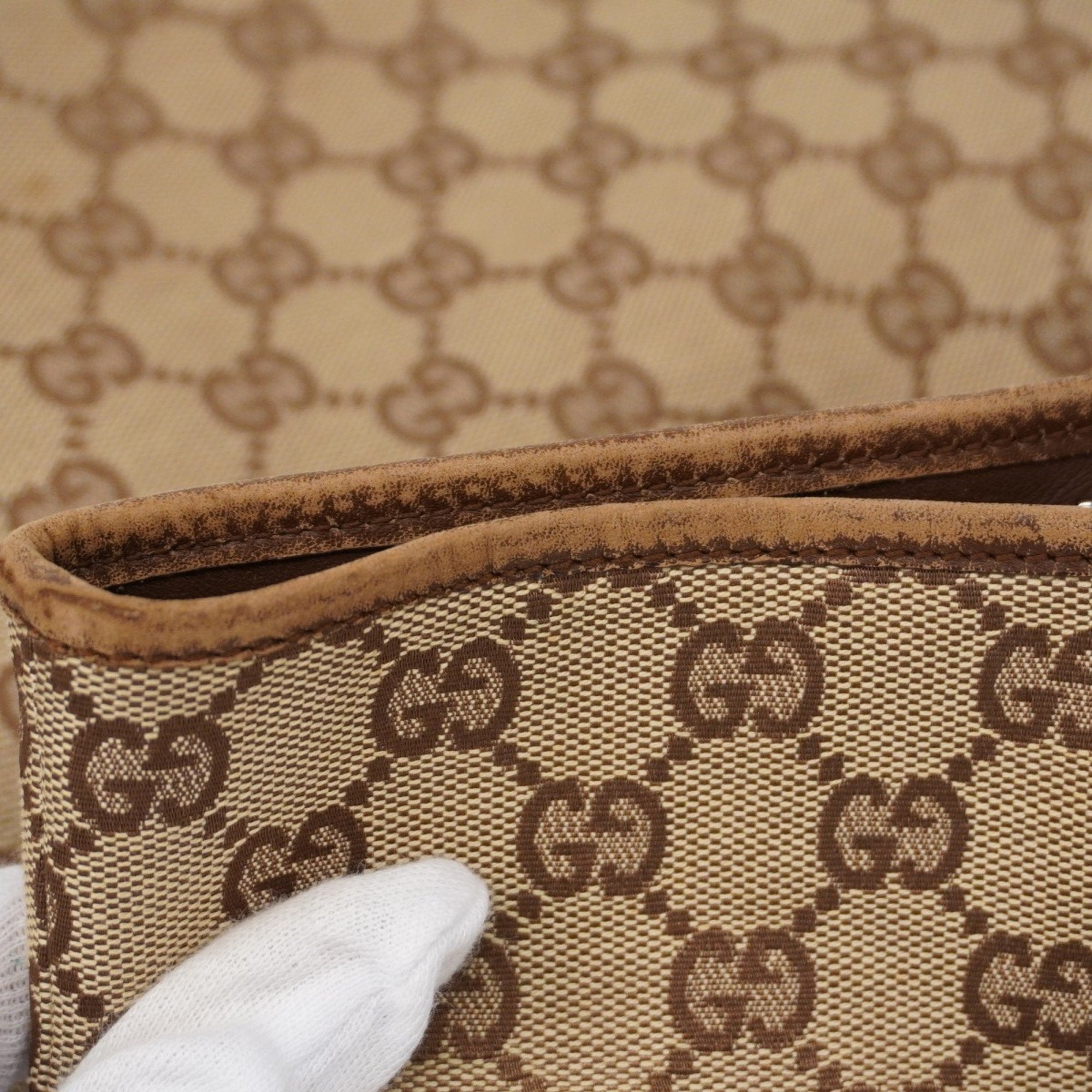 Gucci GG canvas
