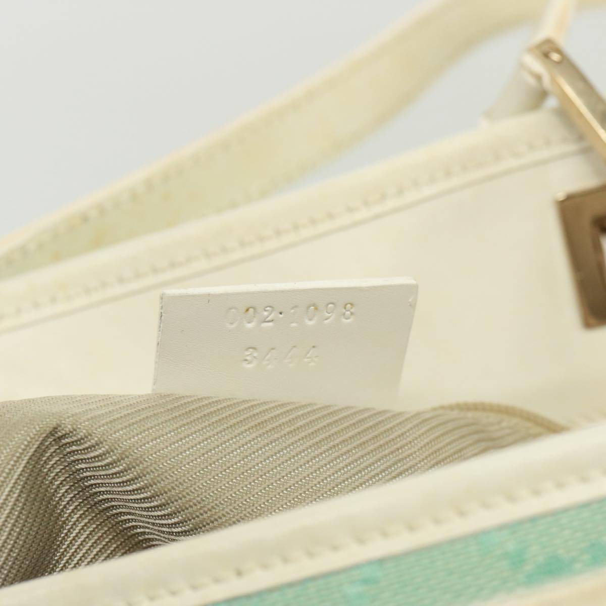 Gucci GG canvas