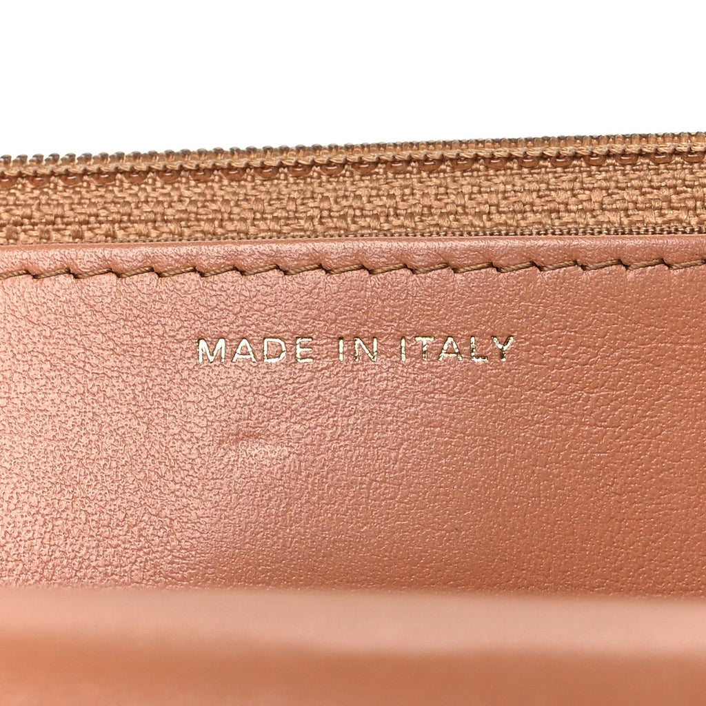 Lambskin Quilted Chanel 19 Wallet On Chain WOC Brown