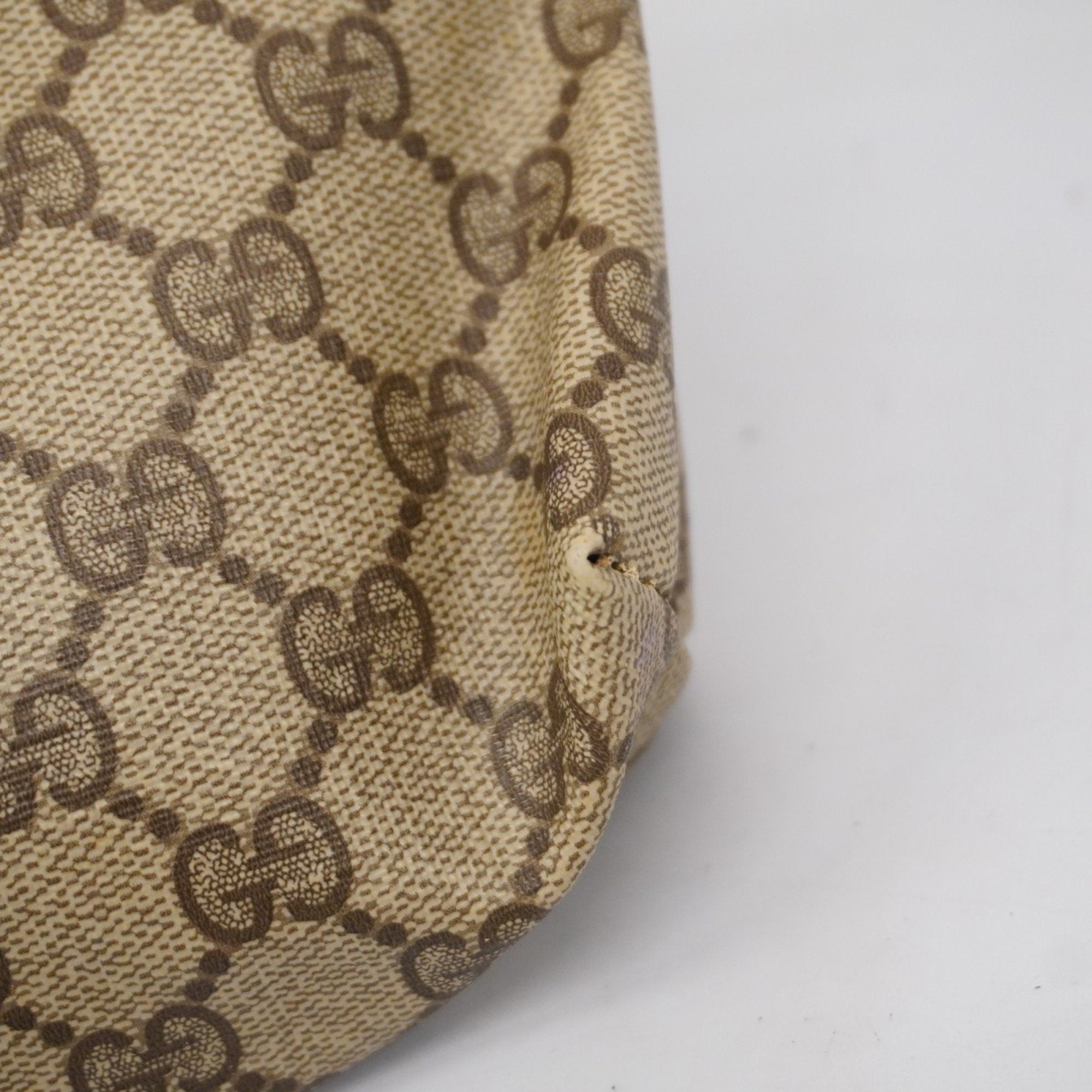Gucci GG canvas