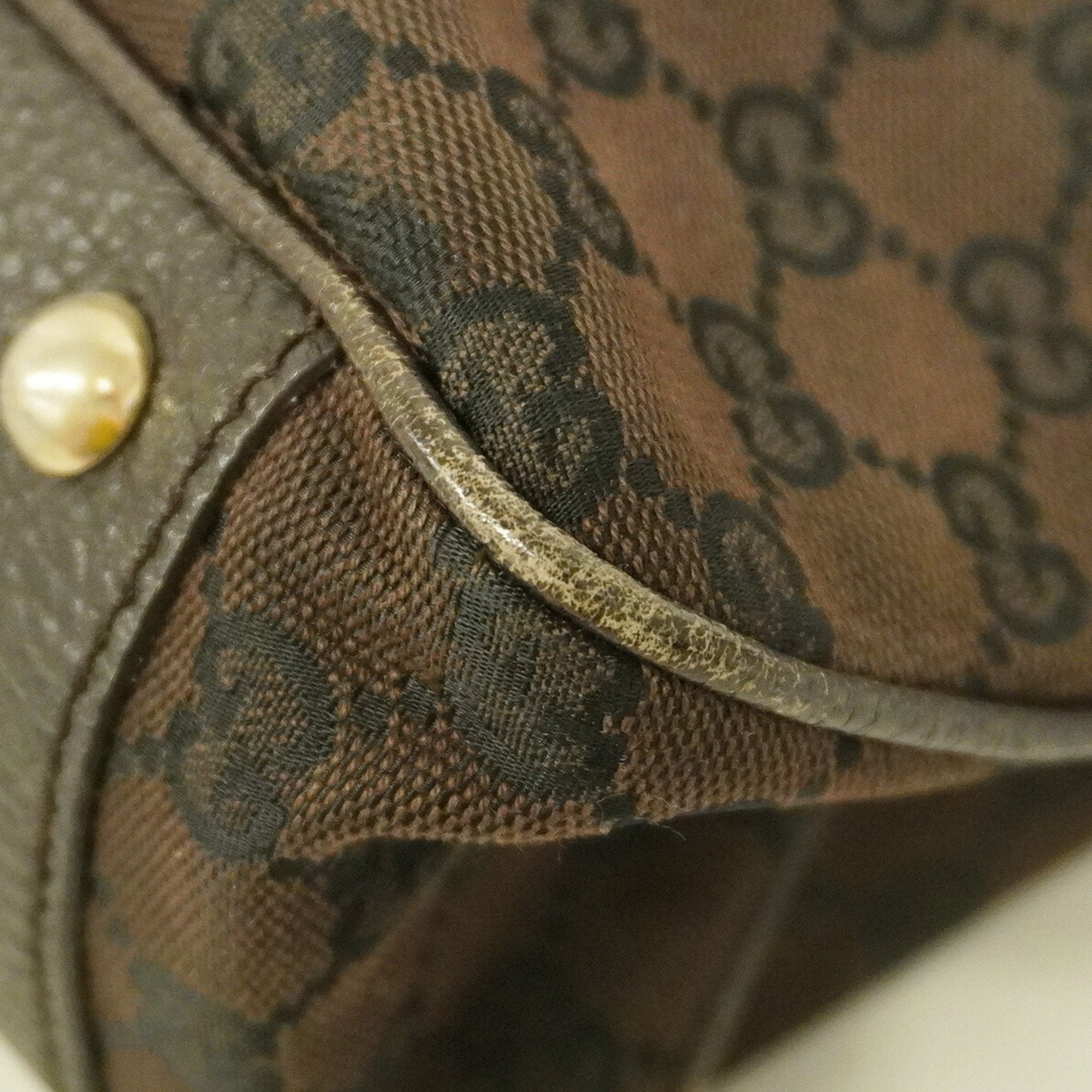 Gucci GG canvas