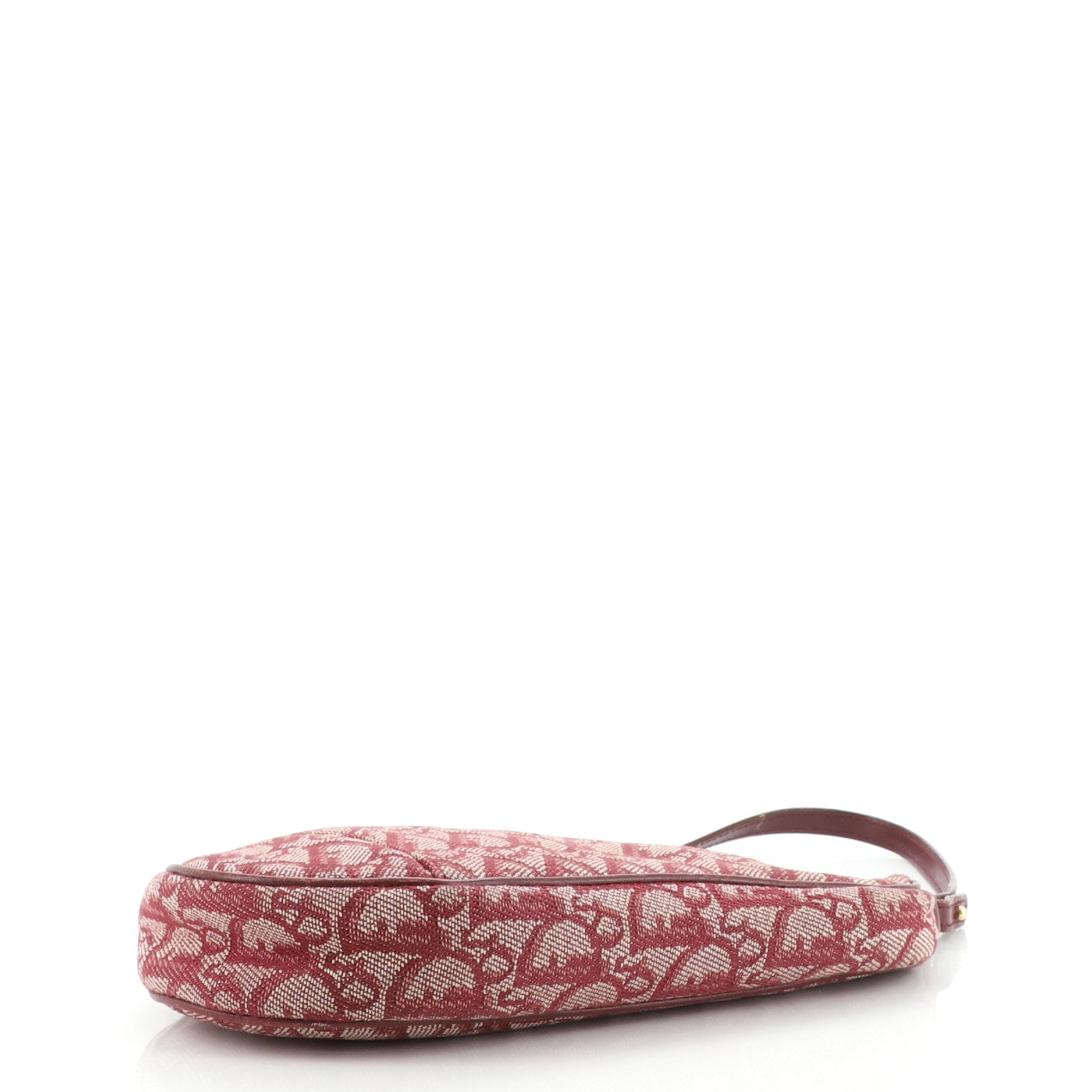 Vintage Saddle Bag Diorissimo Canvas Mini