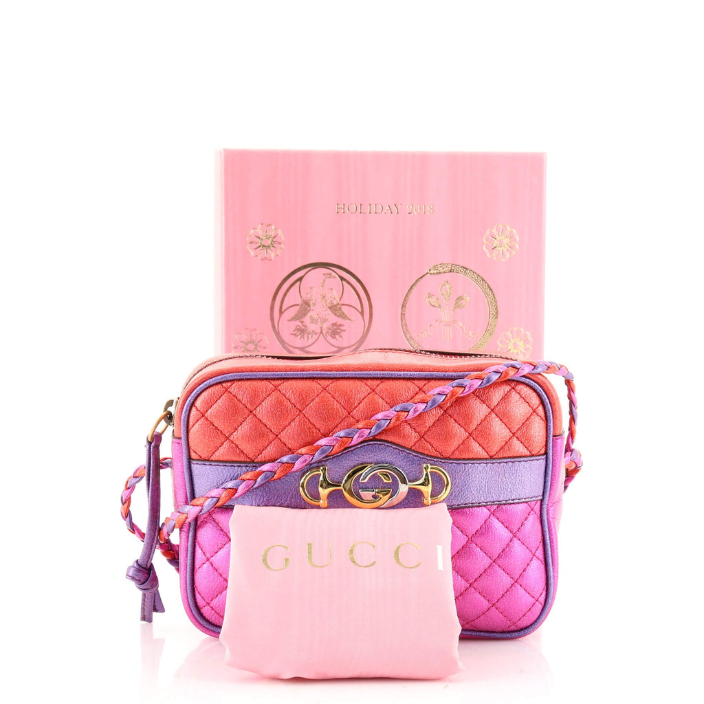 Trapuntata Camera Bag Quilted Laminated Leather Mini