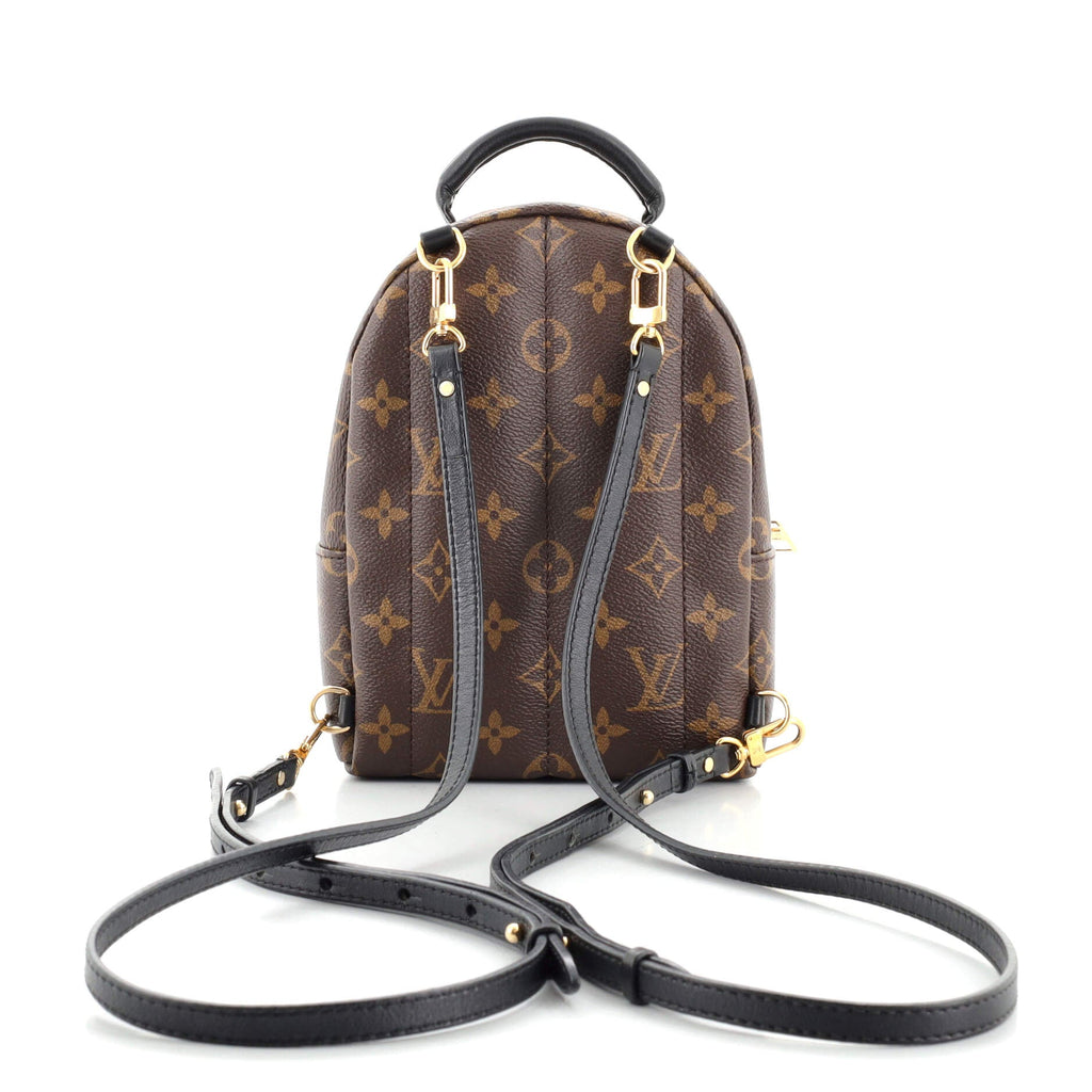 Palm Springs Backpack Monogram Canvas Mini
