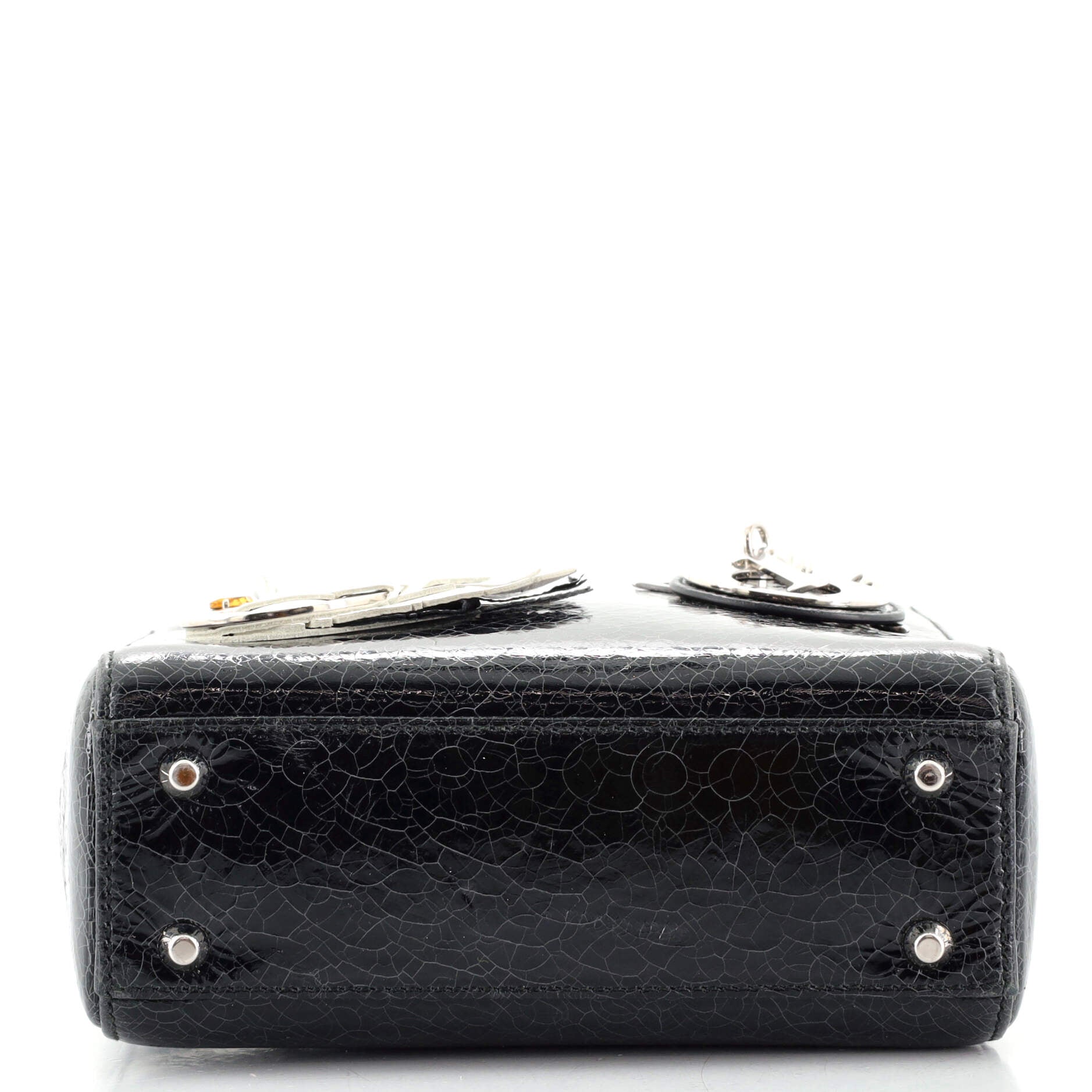 Lady Dior Bag Limited Edition Embellished Crackled Deerskin Mini
