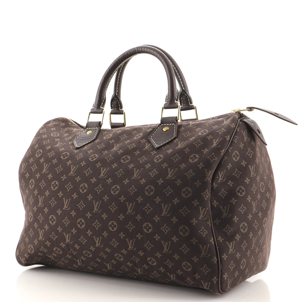 Speedy Handbag Mini Lin 30