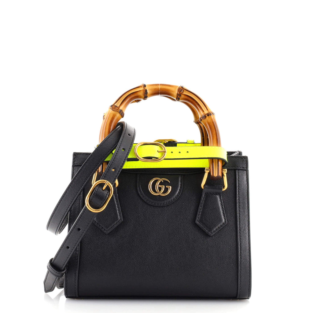 Diana NM Bamboo Handle Tote Leather Mini