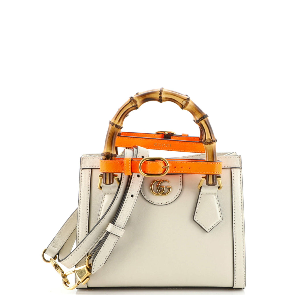 Diana NM Bamboo Handle Tote Leather Mini