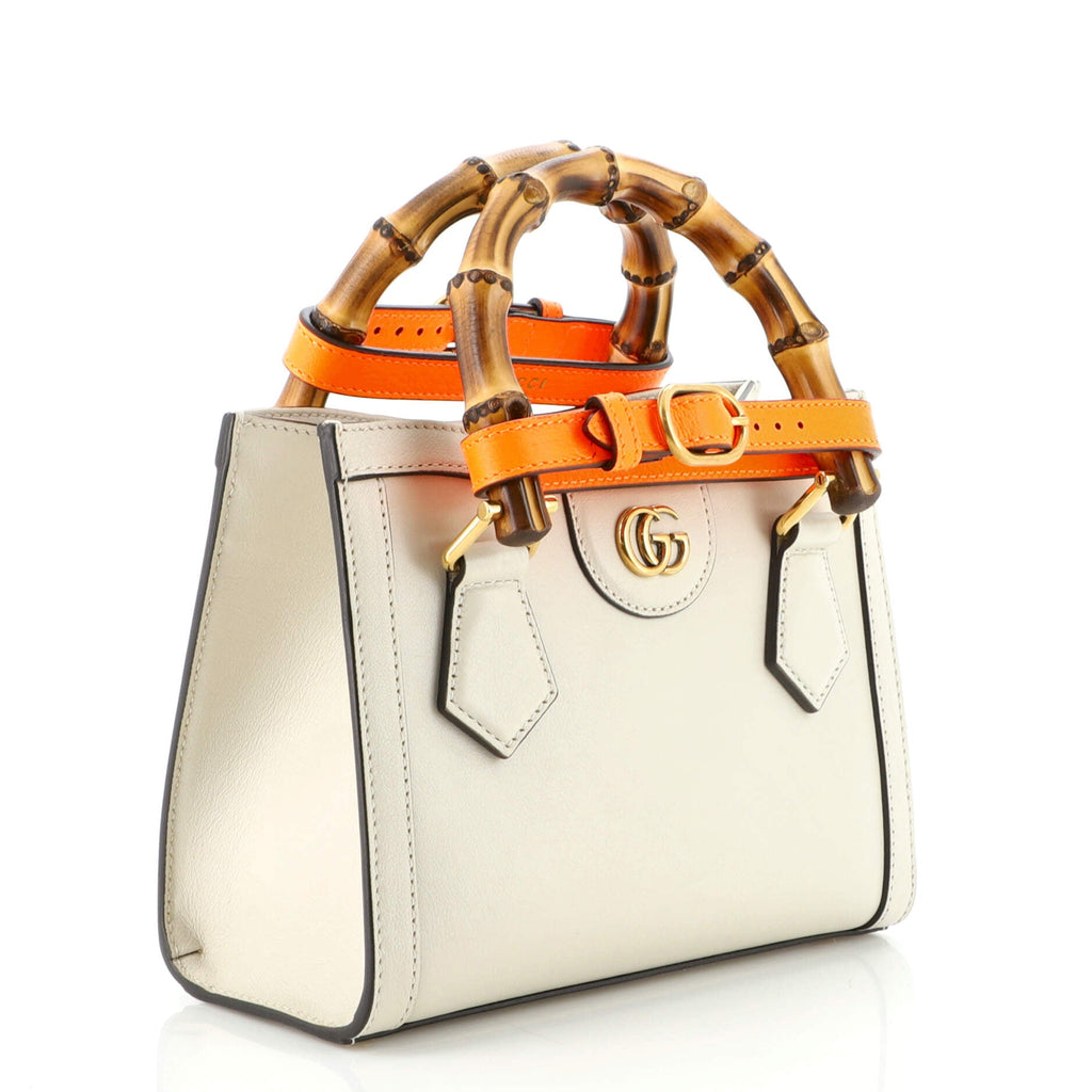 Diana NM Bamboo Handle Tote Leather Mini