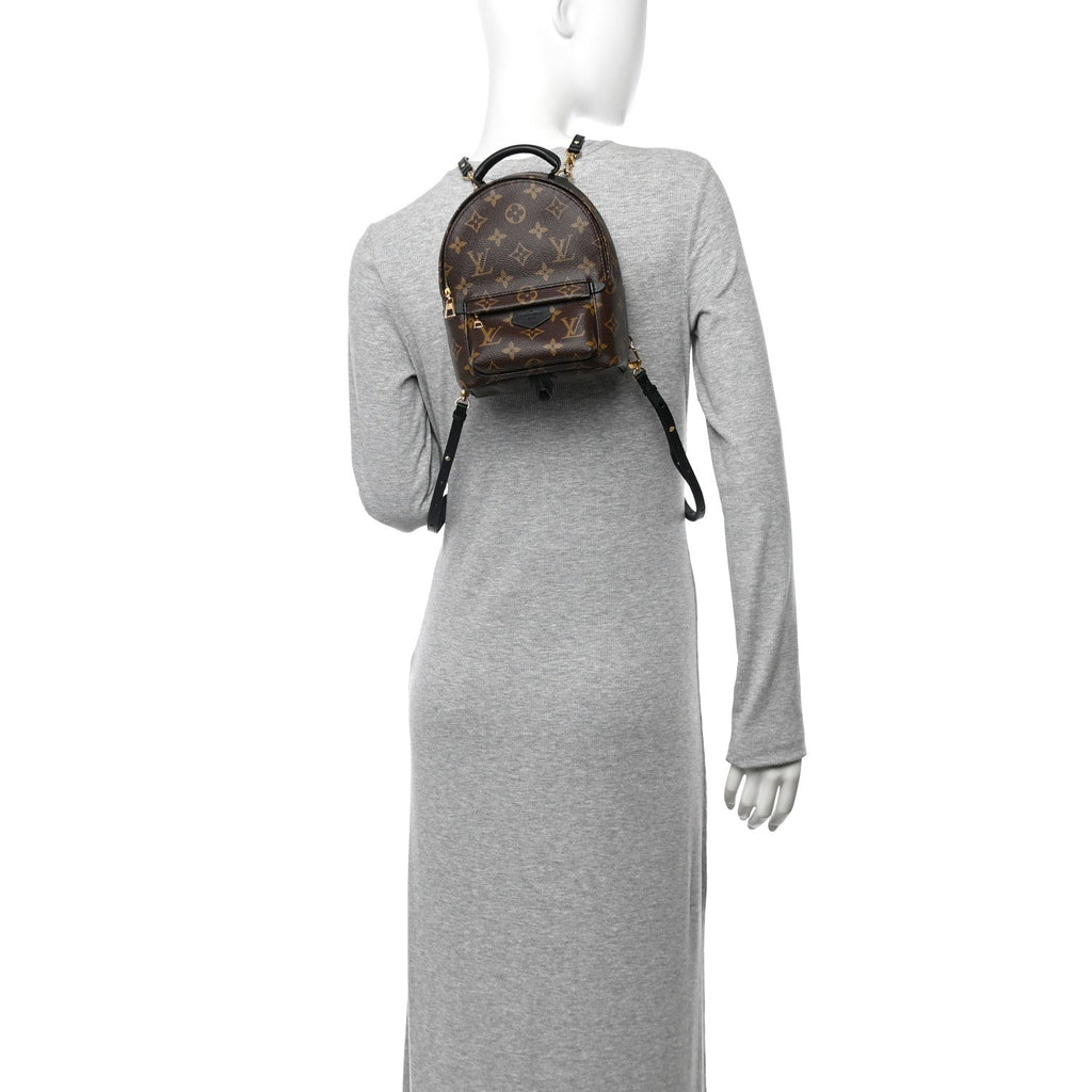 Monogram Palm Springs Backpack Mini
