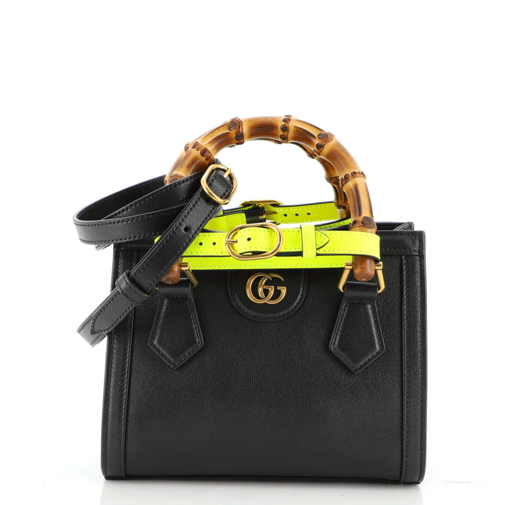 Diana NM Bamboo Handle Tote Leather Mini