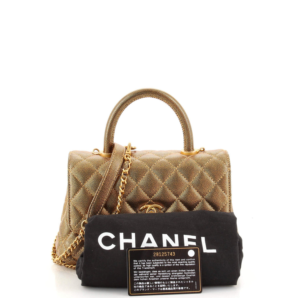 Coco Top Handle Bag Quilted Iridescent Caviar Mini
