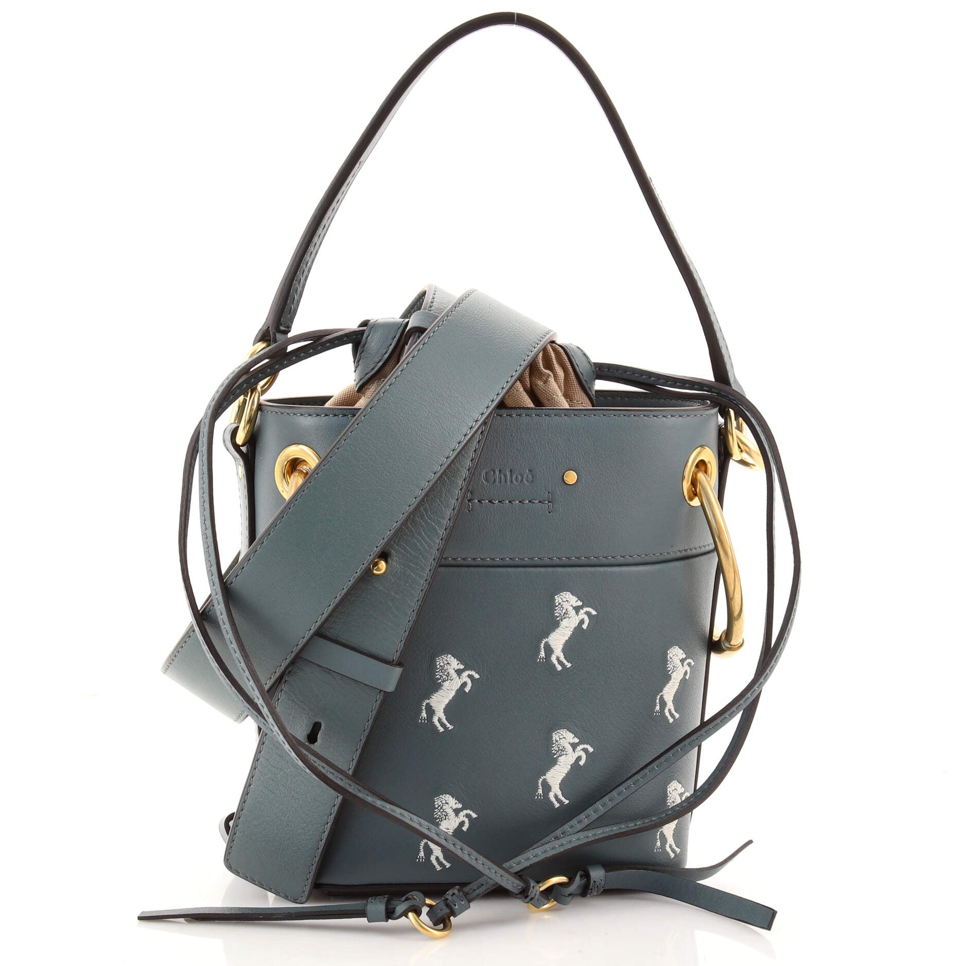 Roy Bucket Bag Embroidered Leather Mini