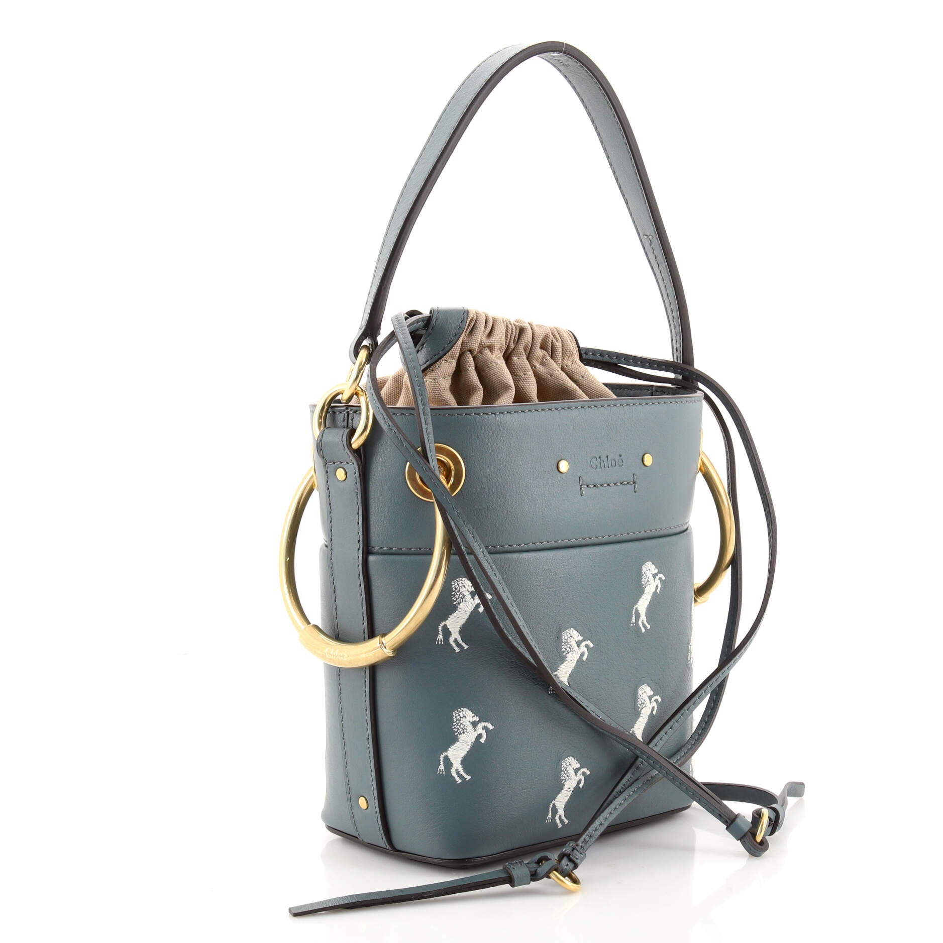 Roy Bucket Bag Embroidered Leather Mini