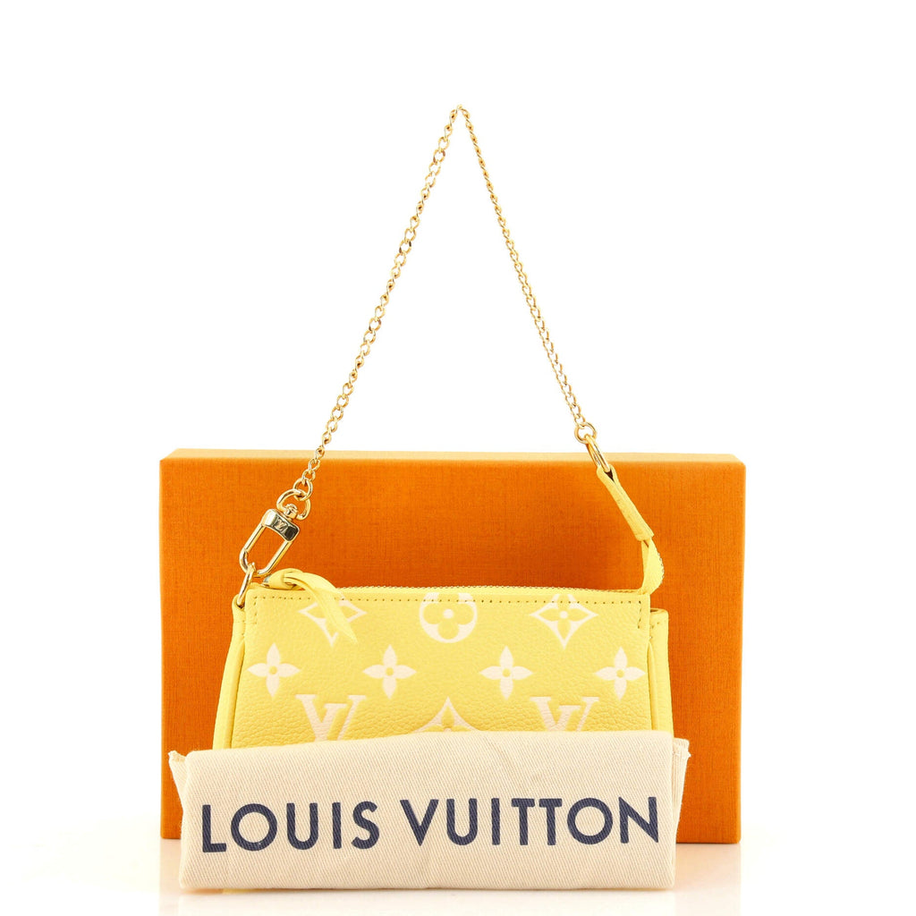 Pochette Accessoires Spring in the City Monogram Empreinte Leather Mini