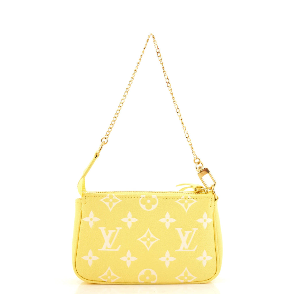 Pochette Accessoires Spring in the City Monogram Empreinte Leather Mini