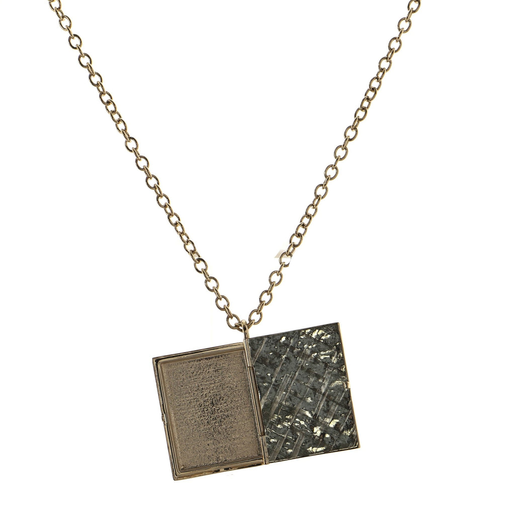 CC Lion Book Lockit Pendant Necklace Metal with Resin
