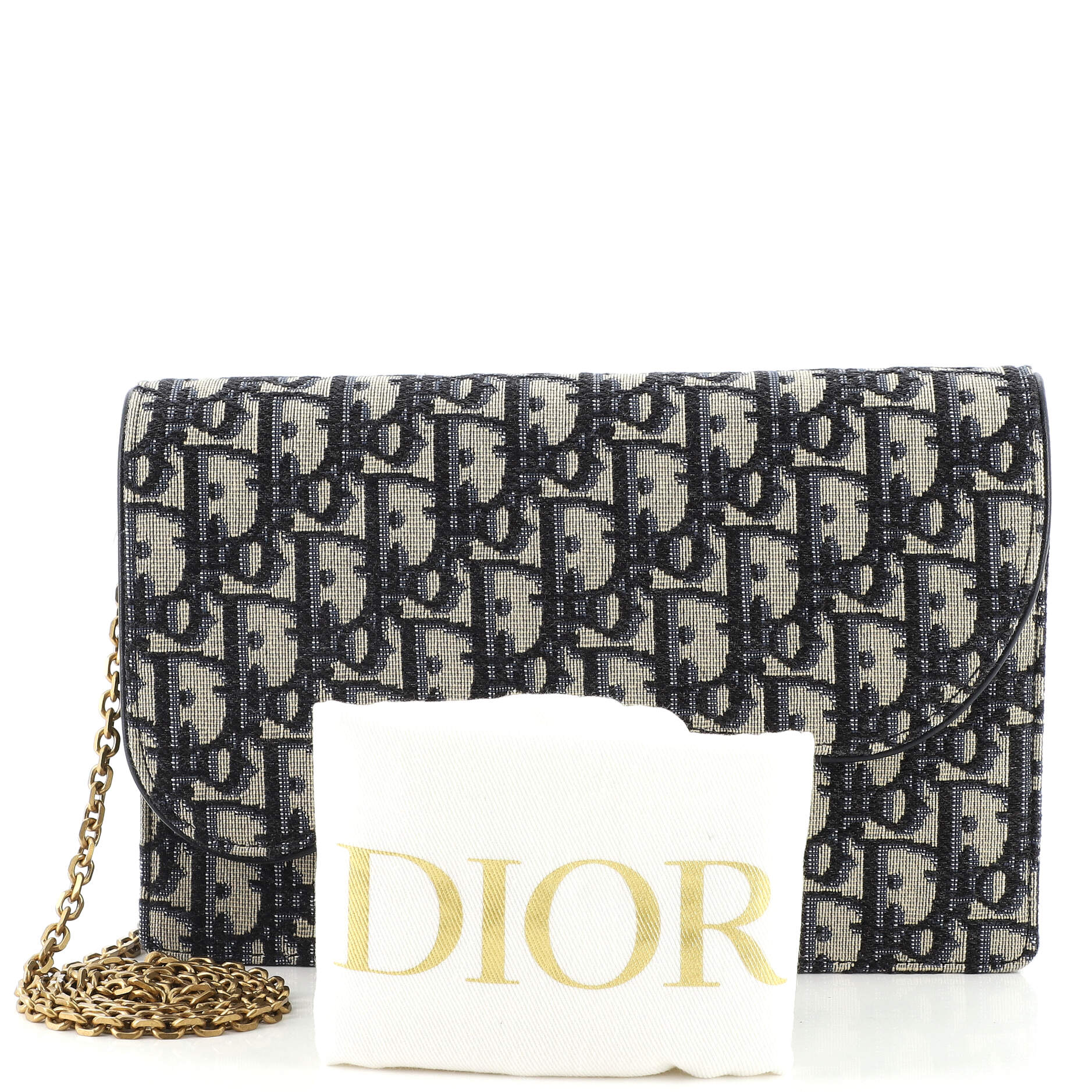 Saddle Chain Clutch Oblique Canvas