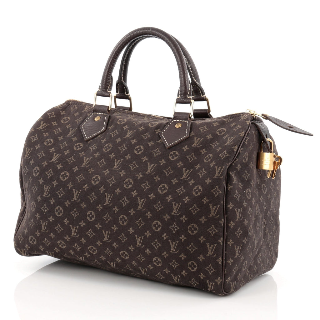 Speedy Handbag Mini Lin 30