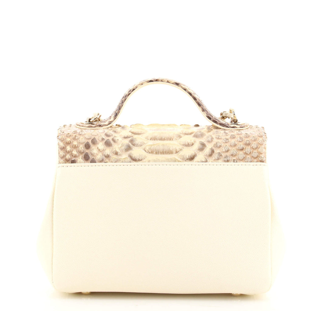 Business Affinity Flap Bag Python and Caviar Mini