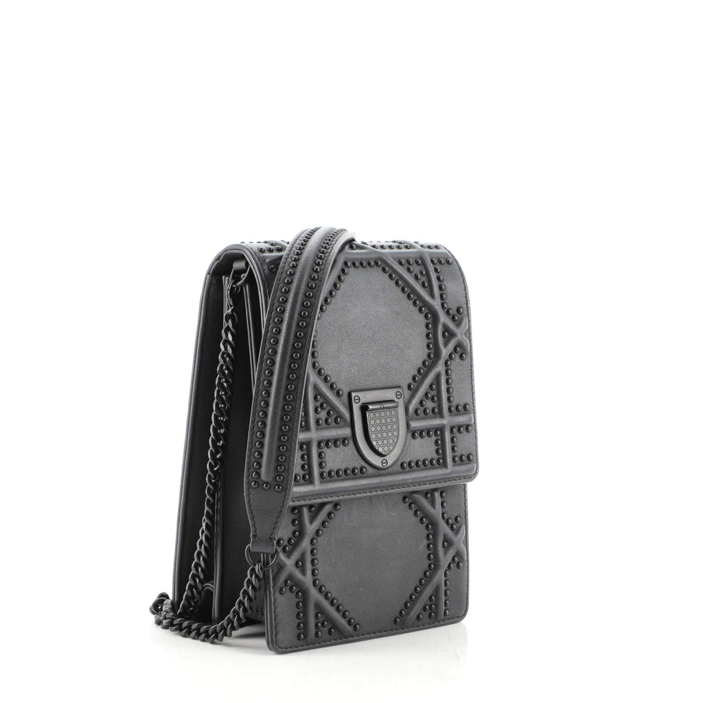 Ultra Matte Diorama Vertical Clutch on Chain Studded Leather