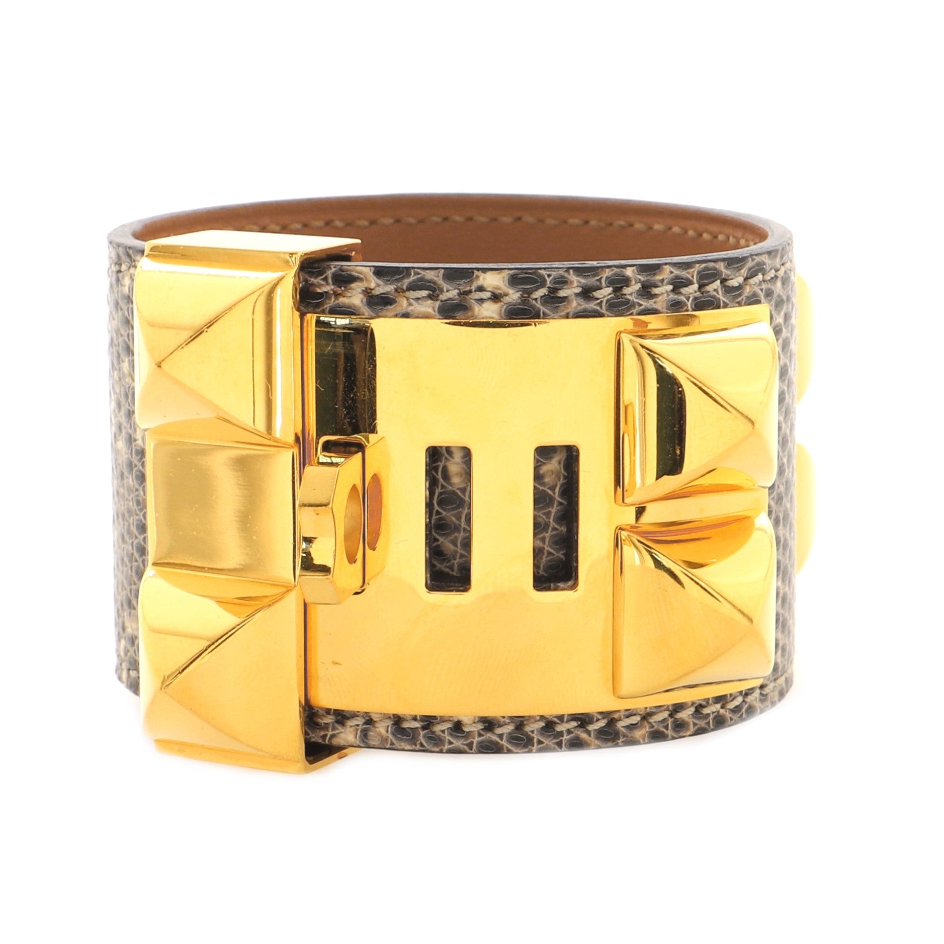 Collier de Chien Bracelet Lizard