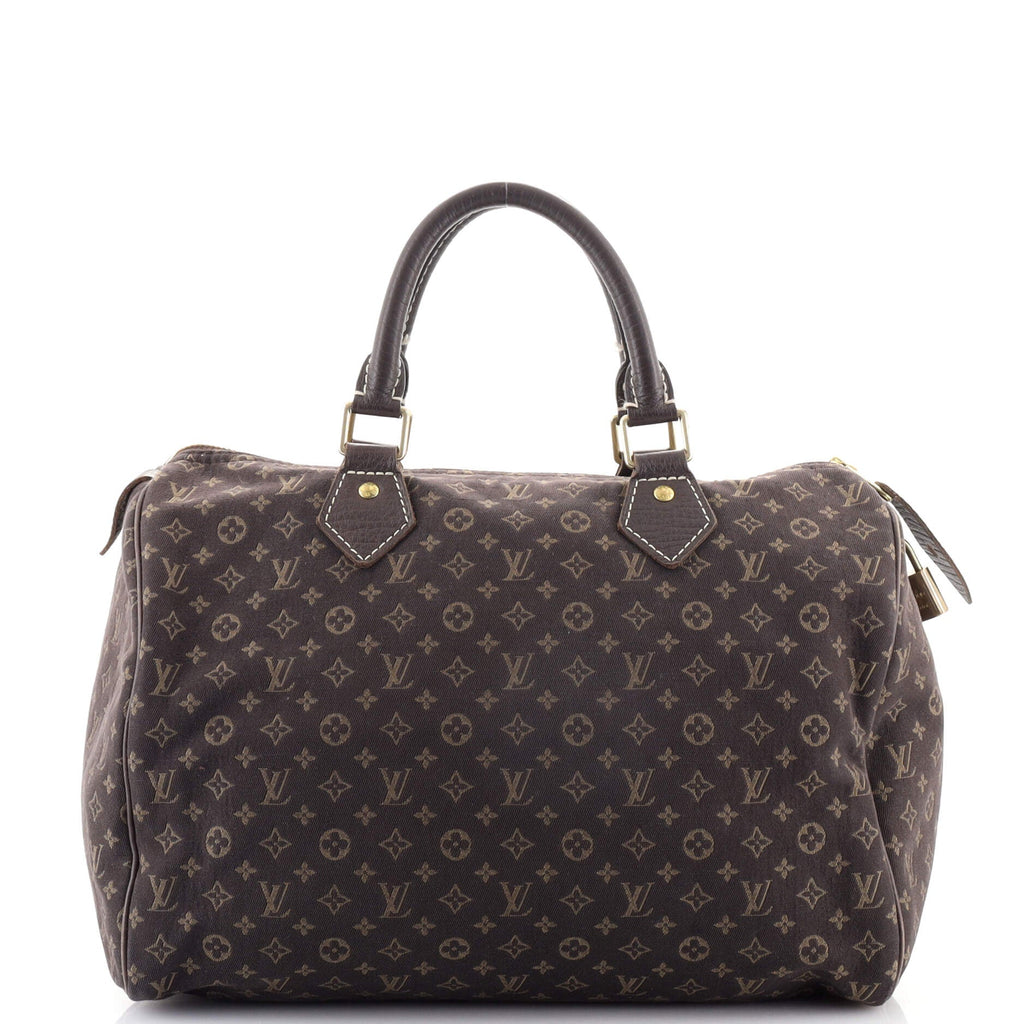 Speedy Handbag Mini Lin 30