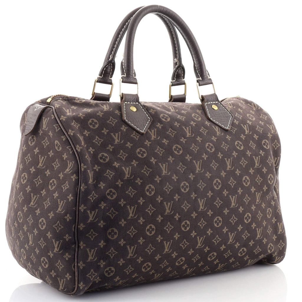 Speedy Handbag Mini Lin 30