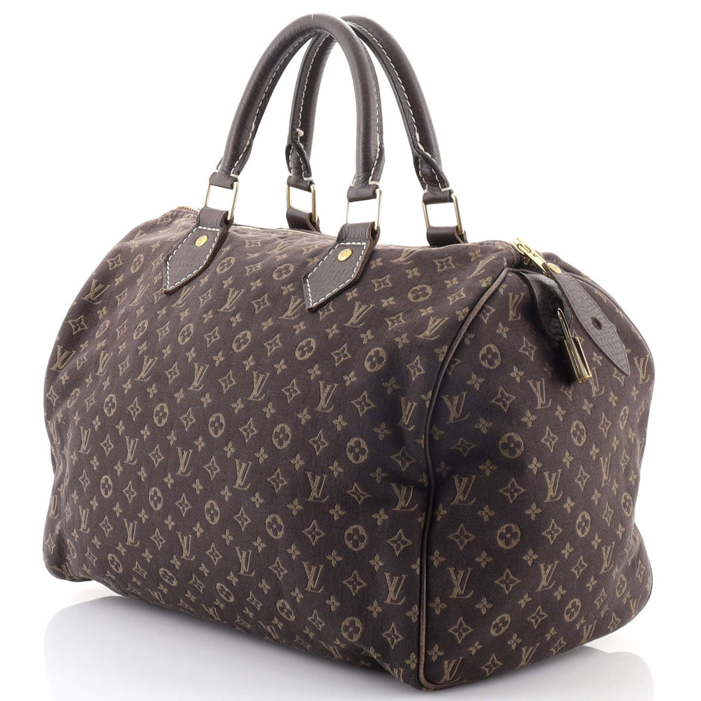 Speedy Handbag Mini Lin 30